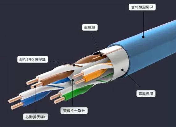 网线